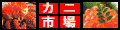 ̹񤫤£ʪ