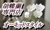 胡蝶蘭専門店オーキッドスタイル