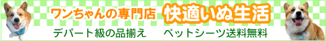 uKʐv̐XBybgV[c