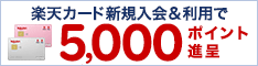 2,000~̃|Cgv[głB