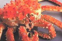 おいしいよぉ♪