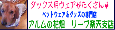 アルムの花畑　リープ楽天支店