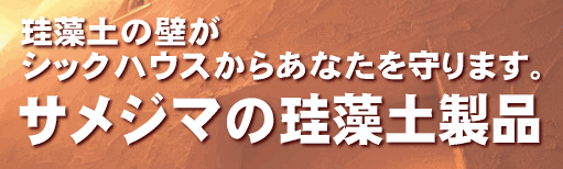 珪藻土　けいそうど