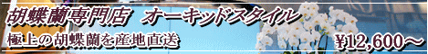 安くて早くて新鮮な胡蝶蘭を提供しているのが当店【胡蝶蘭専門店オーキッドスタイル】！ものすごく急ぎでギフトが必要なときも、当日対応可能！産地直送の底力が爆発です！お客様の満足度はピカイチ！