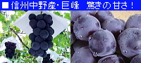 厳選素材・ガンコおやじの店<br />
全国各地の厳選逸品をご提供！タラバガニ、ボタン海老、米沢牛など産地直送<br />
