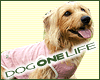 DOG ONE LIFE