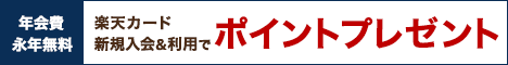 楽天カードのアフィリエイトがついに登場！紹介1件につき100ポイントプレゼント中！